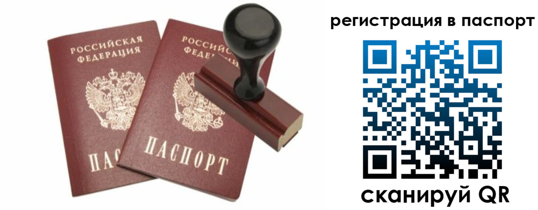 прописка для работы в Мытищах